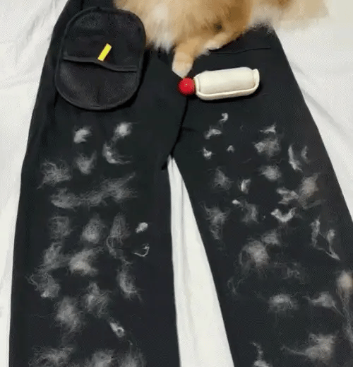 Pet Hair Remover Mitt Pet Hair Remover Gloves Brush